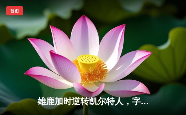 雄鹿加时逆转凯尔特人，字母哥44分12篮板率队捍卫主场