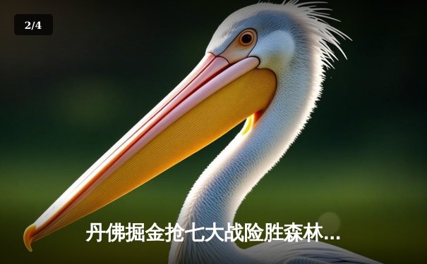 丹佛掘金抢七大战险胜森林狼，约基奇40分三双率队挺进西决 - 2