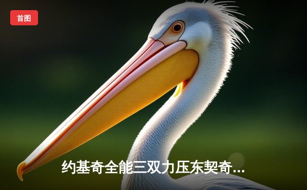 约基奇全能三双力压东契奇 掘金加时险胜独行侠取六连胜